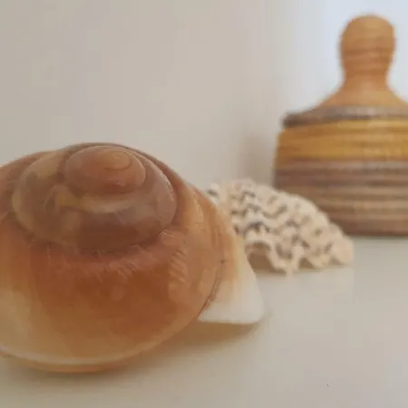 فندق مبيت وإفطار Sea And Tradition مونوبولي